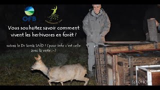Conférences Gaïa(cycle3)-Comment vivent les herbivores  en forêt ? Sonia Saïd
