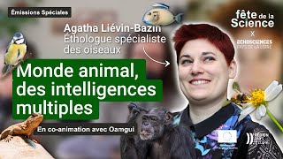 🦜 MONDE ANIMAL, DES INTELLIGENCES MULTIPLES avec Agatha Liévin-Bazin et @oamgui | Fête de la Science